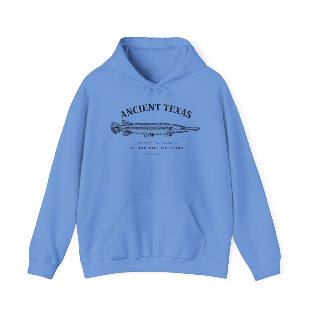 Ancient Texas — Unisex Hooded Sweatshirt