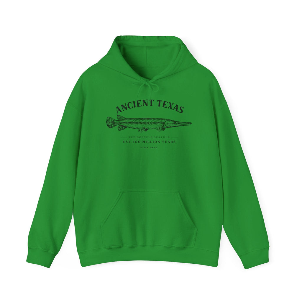 Ancient Texas — Unisex Hooded Sweatshirt