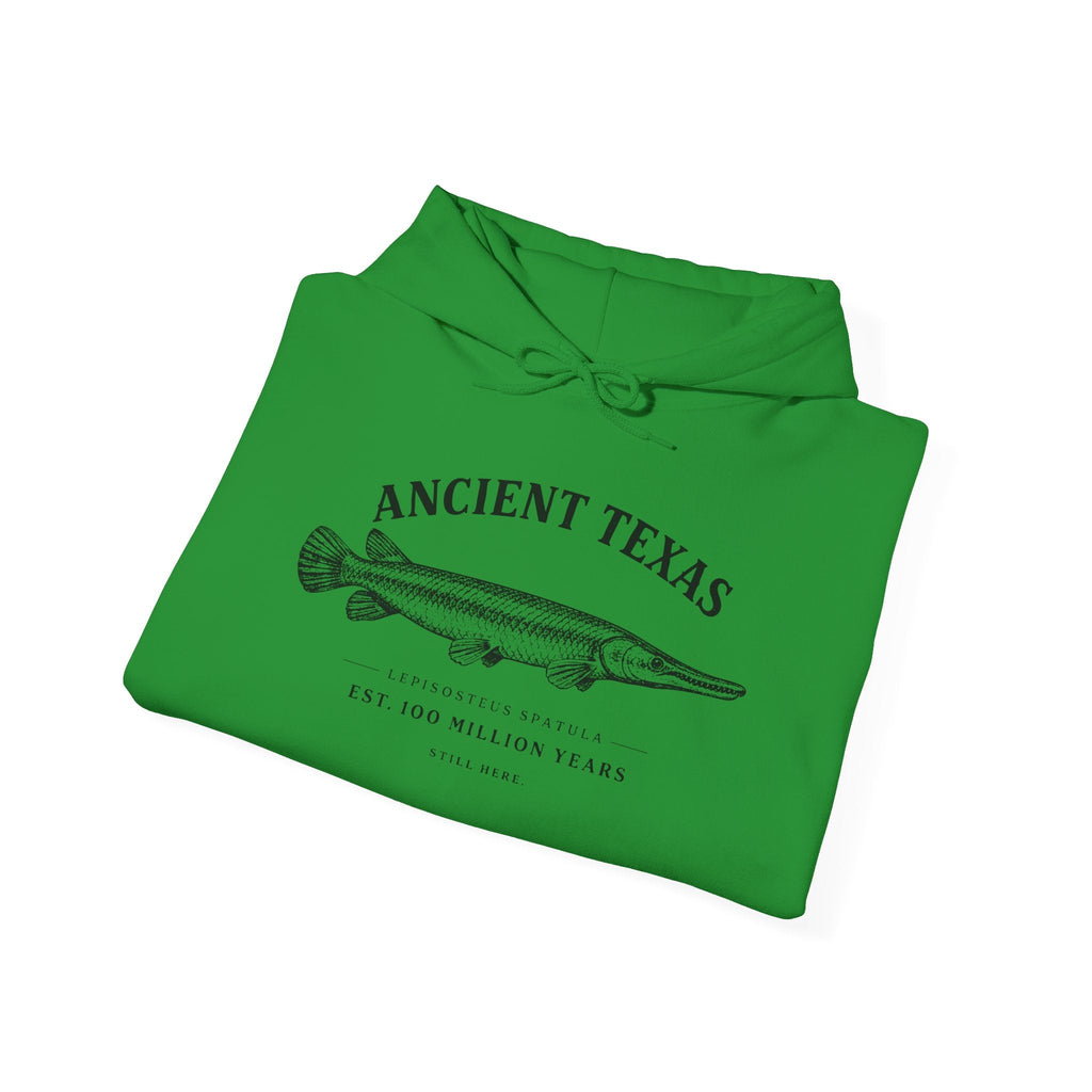 Ancient Texas — Unisex Hooded Sweatshirt