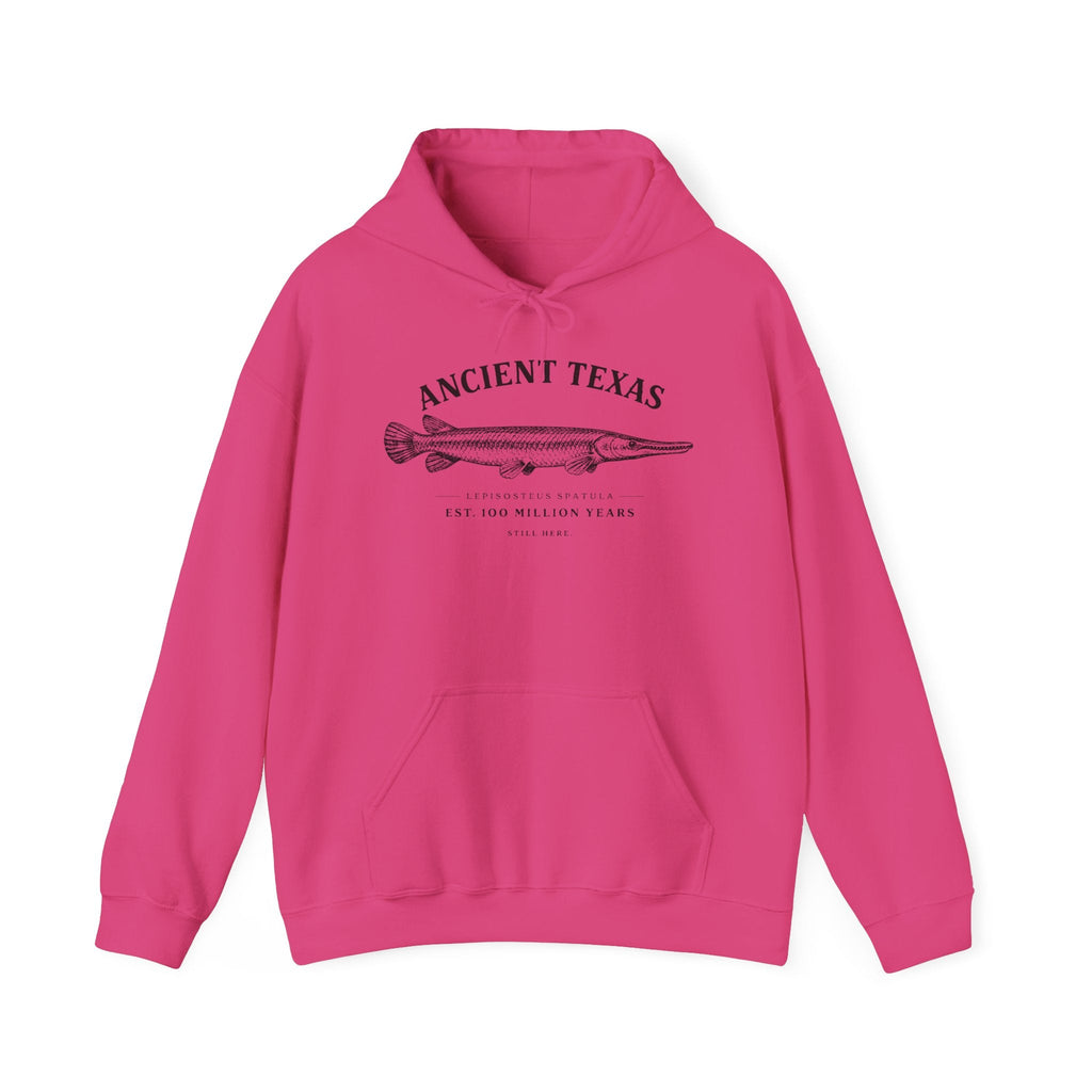 Ancient Texas — Unisex Hooded Sweatshirt