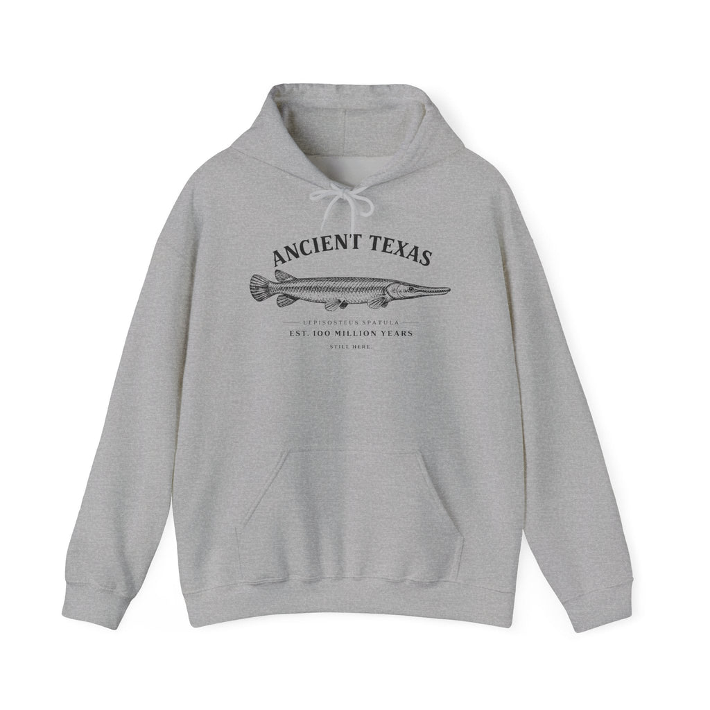 Ancient Texas — Unisex Hooded Sweatshirt