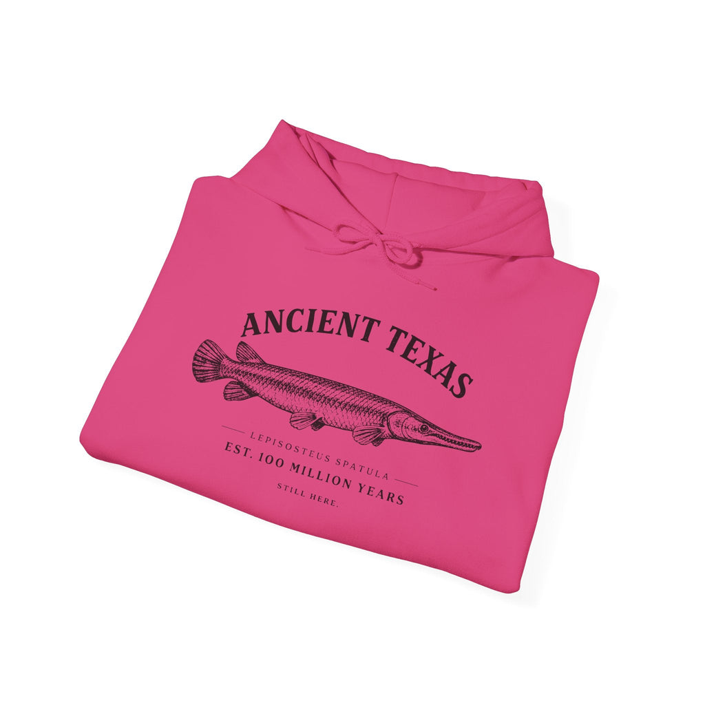 Ancient Texas — Unisex Hooded Sweatshirt